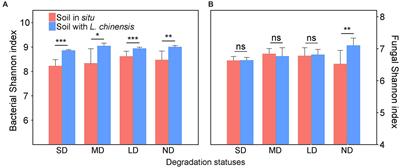 Planting grass enhances relations between soil microbes and enzyme activities and restores soil functions in a degraded grassland